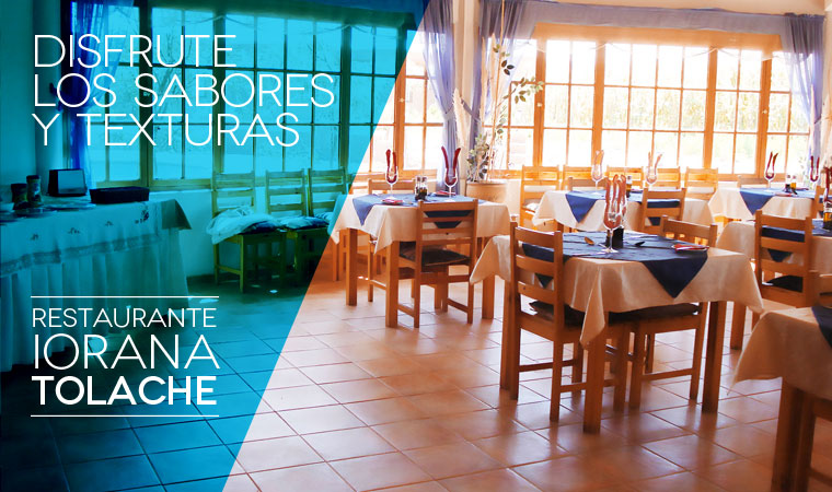 Disfrute los sabores y texturas, IORANA TOLACHE RESTAURANTE